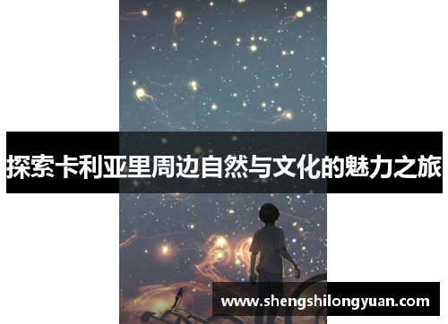 探索卡利亚里周边自然与文化的魅力之旅