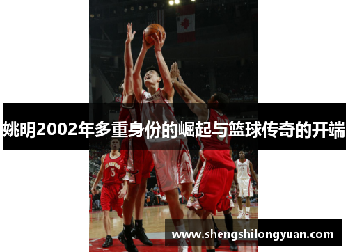 姚明2002年多重身份的崛起与篮球传奇的开端