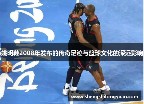 姚明鞋2008年发布的传奇足迹与篮球文化的深远影响