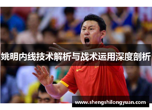 姚明内线技术解析与战术运用深度剖析