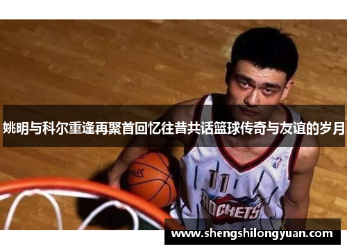 姚明与科尔重逢再聚首回忆往昔共话篮球传奇与友谊的岁月
