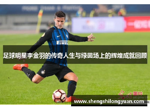 足球明星李金羽的传奇人生与绿茵场上的辉煌成就回顾