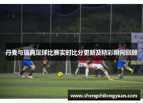 丹麦与瑞典足球比赛实时比分更新及精彩瞬间回顾