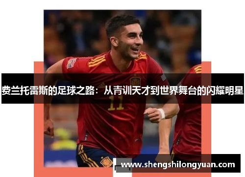 费兰托雷斯的足球之路：从青训天才到世界舞台的闪耀明星